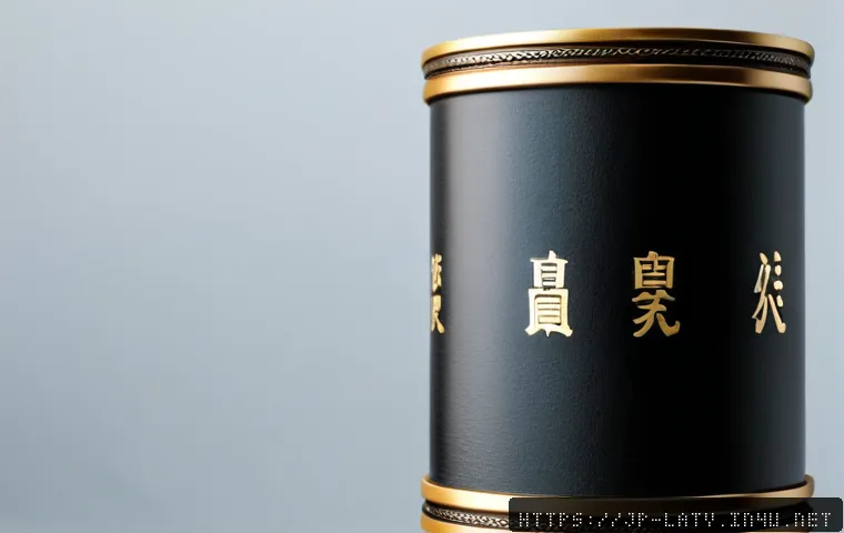 ラトビアはEUで何ができる?ビジネス・渡航・居住で確認したい制度と選び方 4 라트비아와 유럽연합 EU 관계 관련 이미지 2